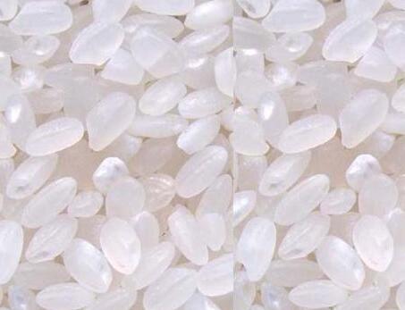 有機大米 有機大米