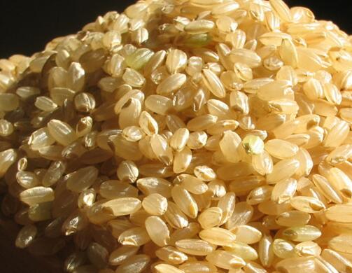 有機糙米 有機糙米