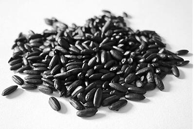 有機黑米 有機黑米