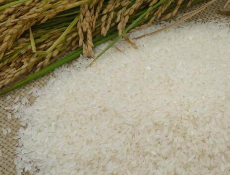 有機大米